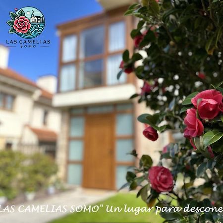 "Las Camelias Somo" Un Lugar Para Desconectar!! Vistas Al Mar!! Zewnętrze zdjęcie