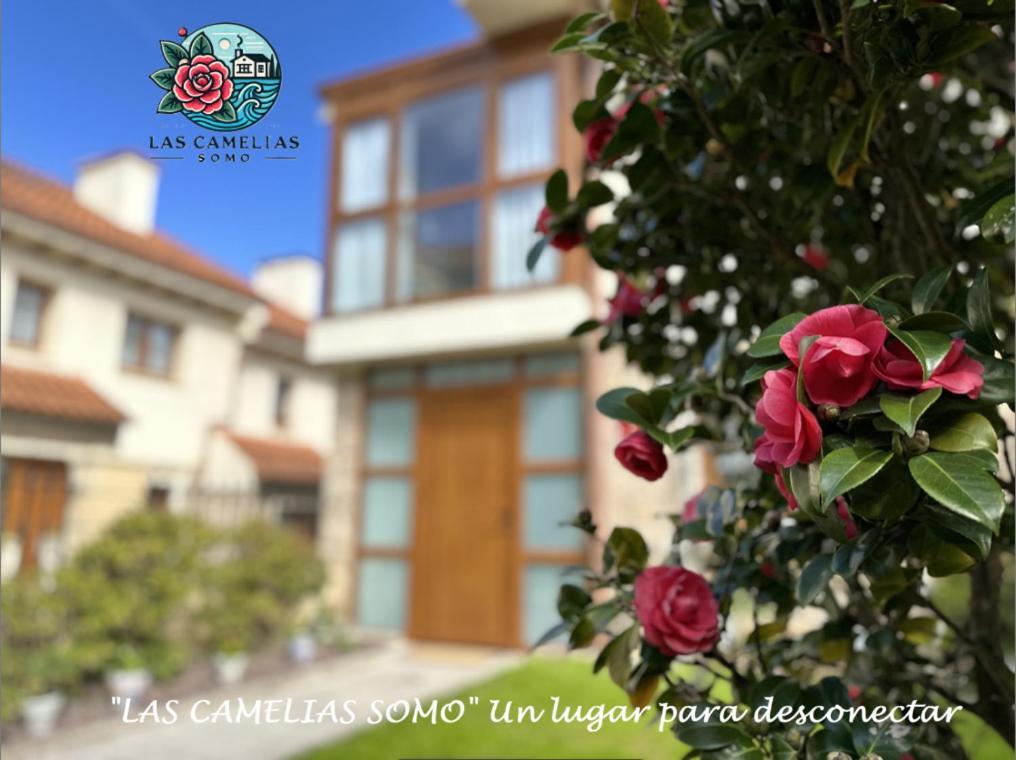 "Las Camelias Somo" Un Lugar Para Desconectar!! Vistas Al Mar!! Zewnętrze zdjęcie